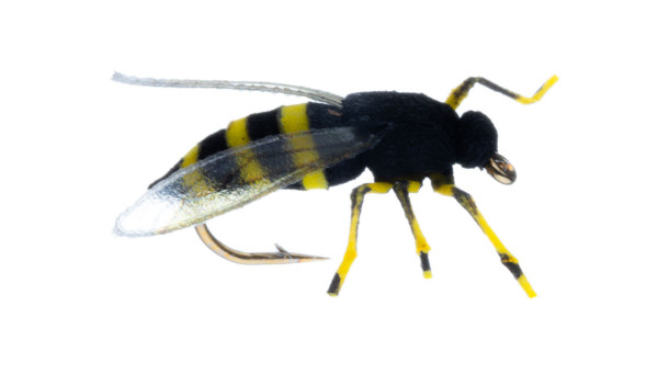 Vania Realistic Honey Wasp Trockenfliege