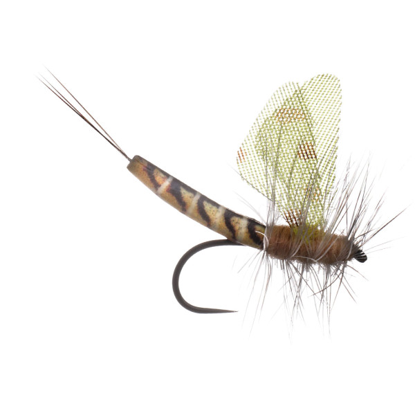 MFC Lucent Wing True Hex Mayfly Drx Fly Barbless #10