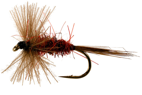 Catchy Flies Dry Fly - CF36 Red Spinner male