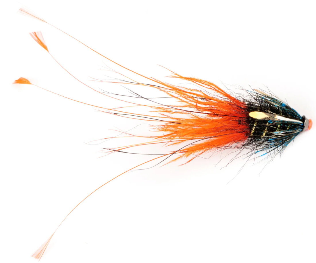 Frödin Flies Tube Fly Pig Series - Thunder | Tube Flies | Atlantic ...