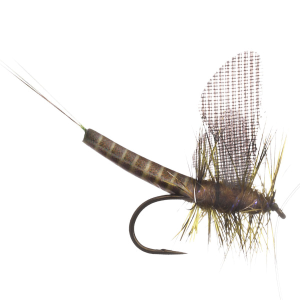 MFC Lucent Wing True Drake Green Mayfly Dry Fly Barbless #12