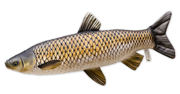 Fish Pillow Grass Carp 105cm