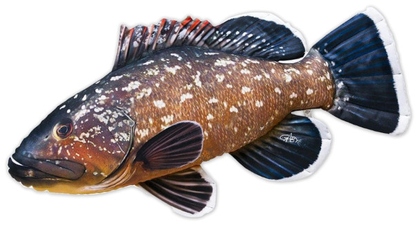 Fish Pillow Soft Toy Grouper 100cm