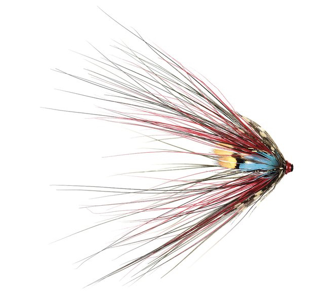 trout spey dry fly