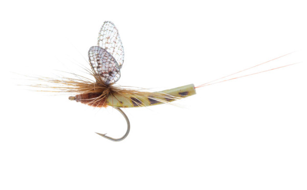 Vania Realistic Mayfly Danica Light Trockenfliege