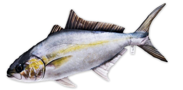 Fish Pillow Soft Toy Amberjack 105cm