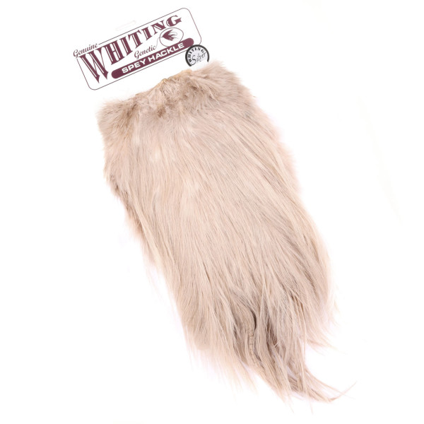 Whiting Spey Hackle Rooster Saddle Silver Grade white dyed tan