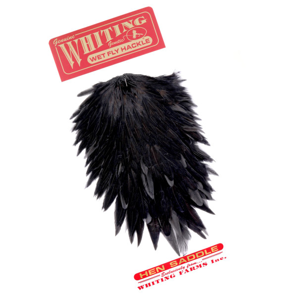 Whiting Hen Saddle Black