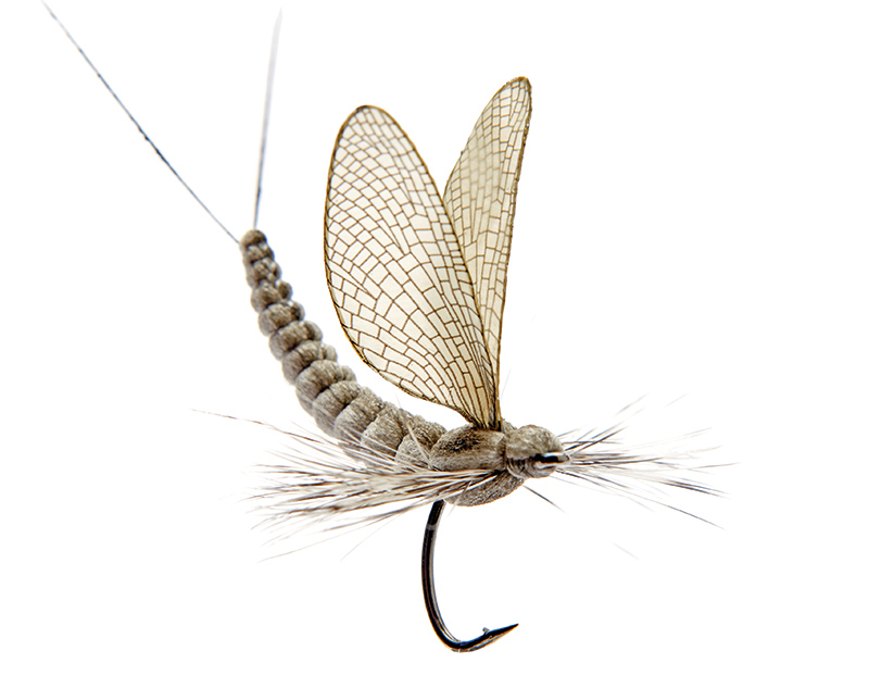 https://www.adh-fishing.com/media/image/c6/c8/7b/json-realistic_mayfly-dun-1-olive-grey.jpg