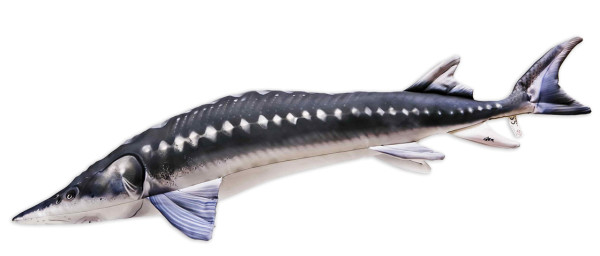 Fish Pillow Soft Toy Sturgeon 125cm