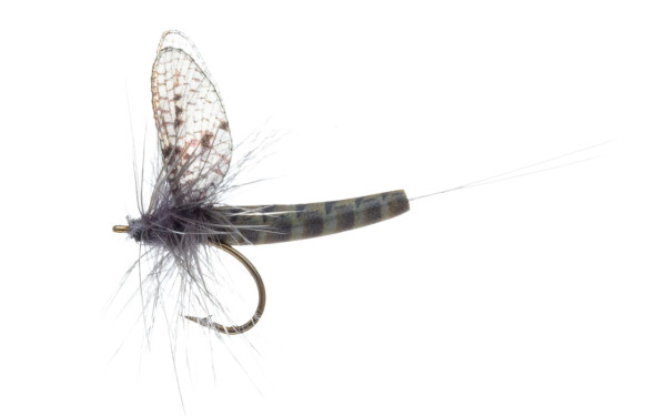 Vania Realistic Mayfly Grey Drake Trockenfliege