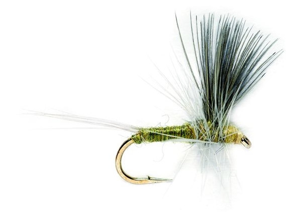 Fulling Mill Dry Fly - Blue Winged Olive Thorax | Dry Flies | Flies ...