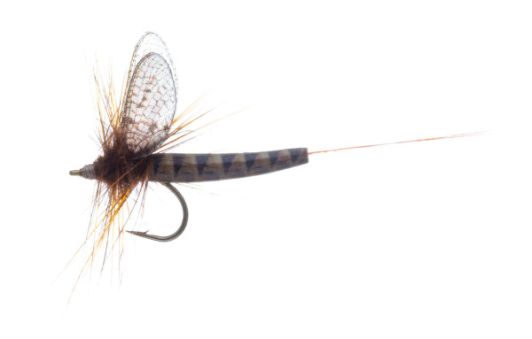 Vania Realistic Mayfly March Brown Trockenfliege