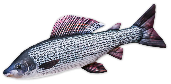 Fish Pillow Soft Toy Grayling 65cm